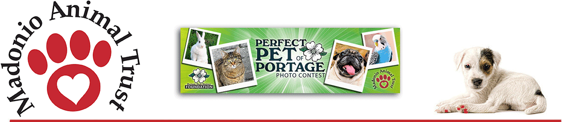Portage Perfect Pooch Photo Contest