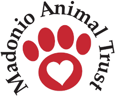 Madonio Animal Trust Home Page